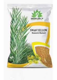 Swan Yellow